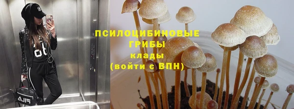 гашиш Белокуриха