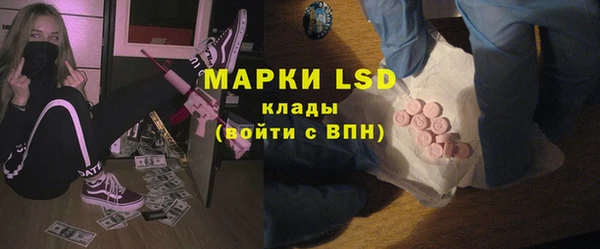 индика Белоозёрский