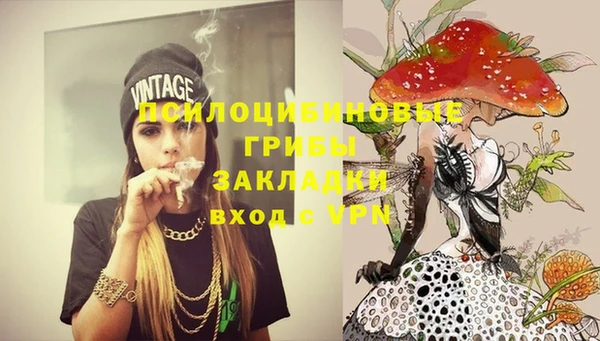 индика Белоозёрский