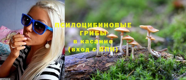 индика Белоозёрский