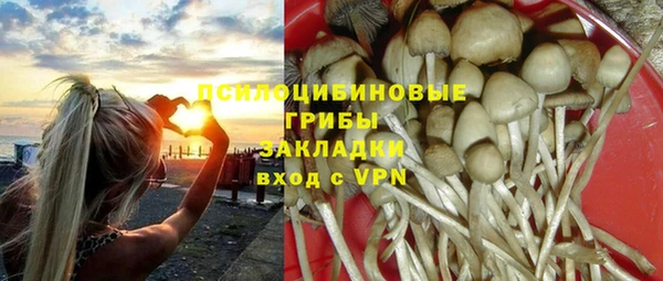 индика Белоозёрский