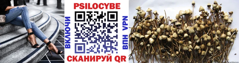 Купить где  Балахна  Псилоцибиновые грибы мухоморы 